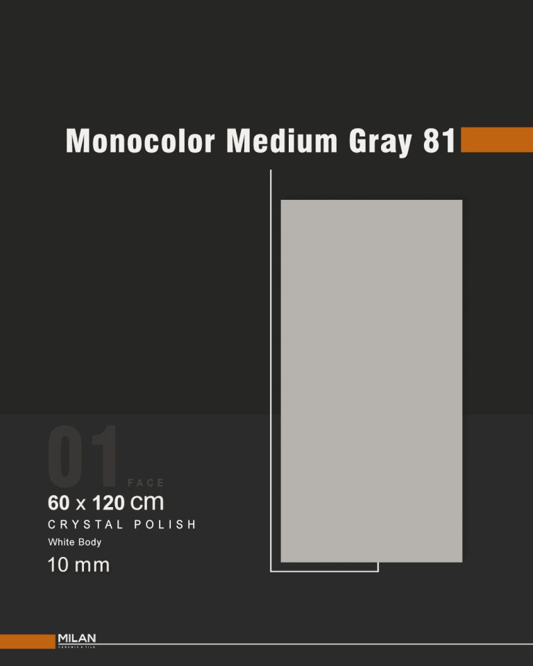 Medium gray 81