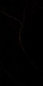 carlotta black- F02