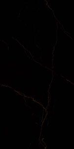 carlotta black- F04