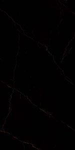 carlotta black- F06