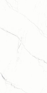 carlotta-silver--F5