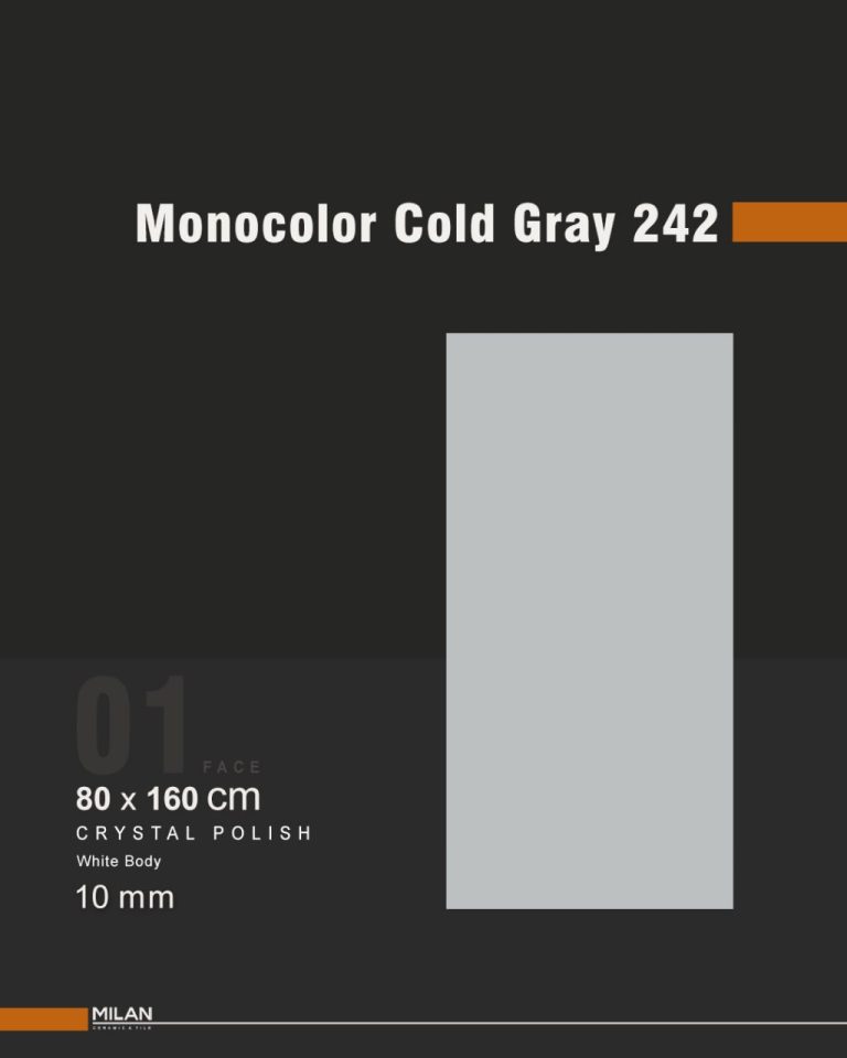 Monocolor Cold Gray 242