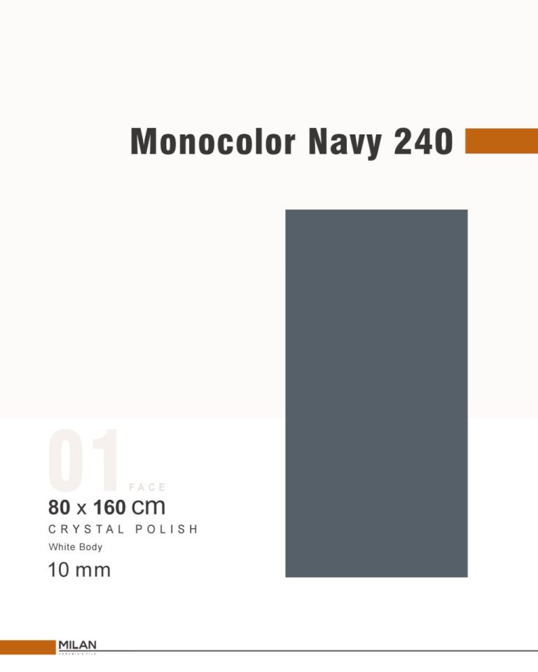 Monocolor Navy 240