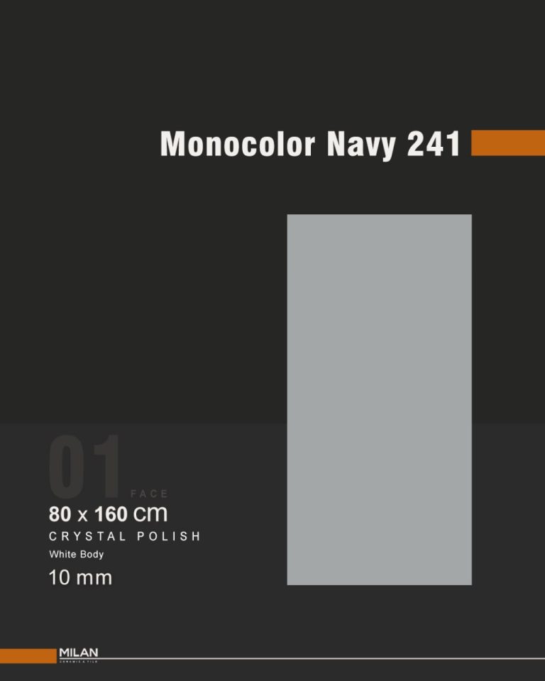 Monocolor Navy 241