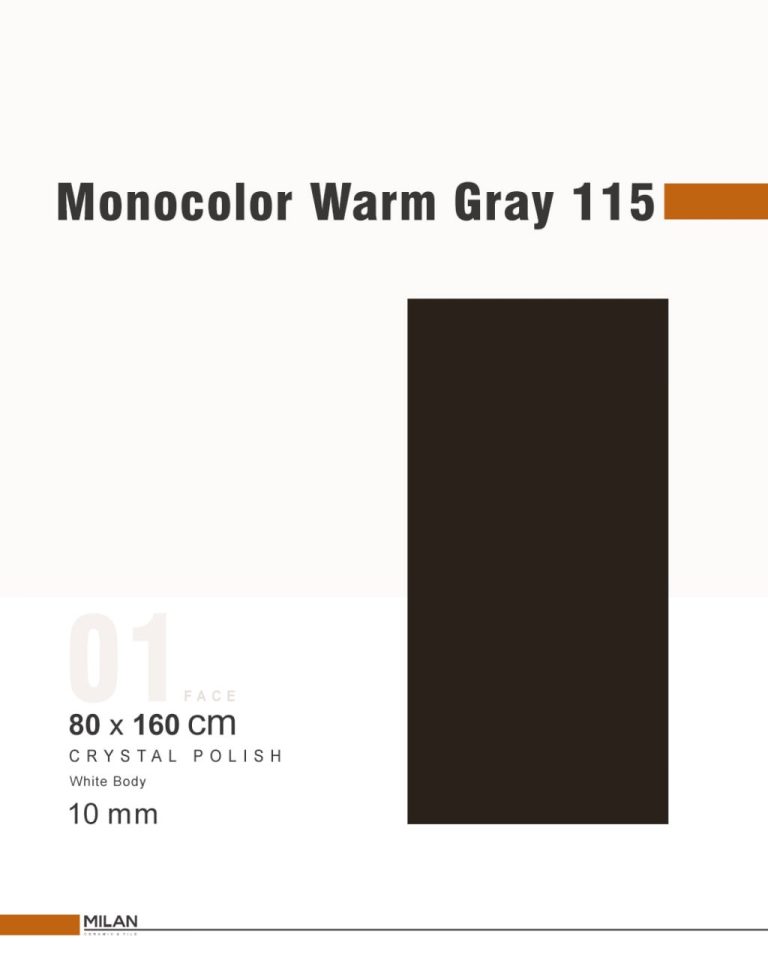 Monocolor Warm Gray 115