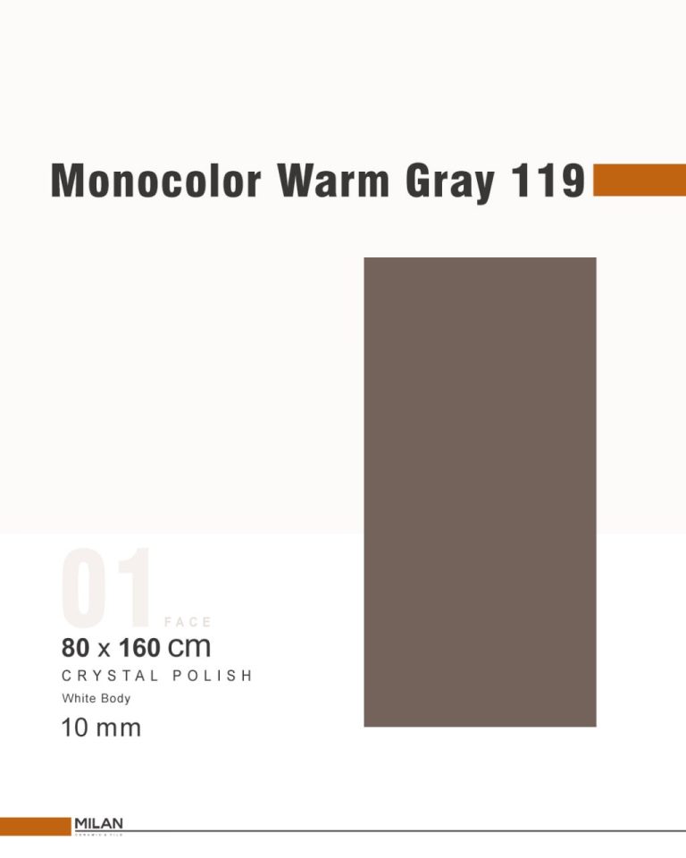 Monocolor Warm Gray 119