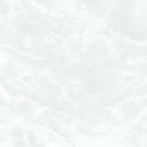 Darwin white F 3