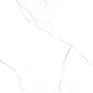 Carlotta Silver - F00 5