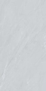Salvador-Silver----F02