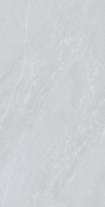 Salvador-Silver----F03