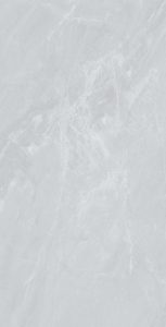 Salvador-Silver----F05